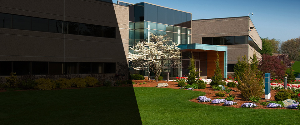 Greenville Landscapers